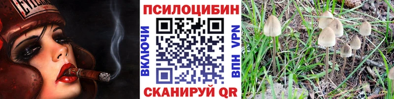 shop как зайти Райчихинск Псилоцибиновые грибы GOLDEN TEACHER кракен